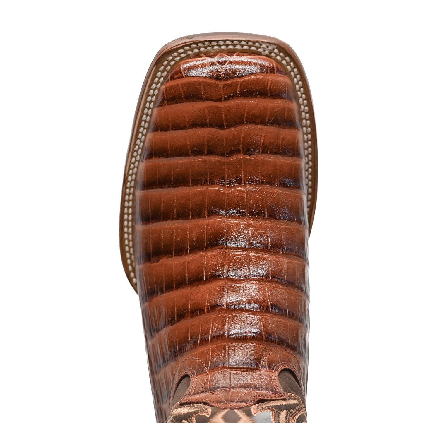 Vaquero Bronco Rodeo Bull Printed Brown Back Boot