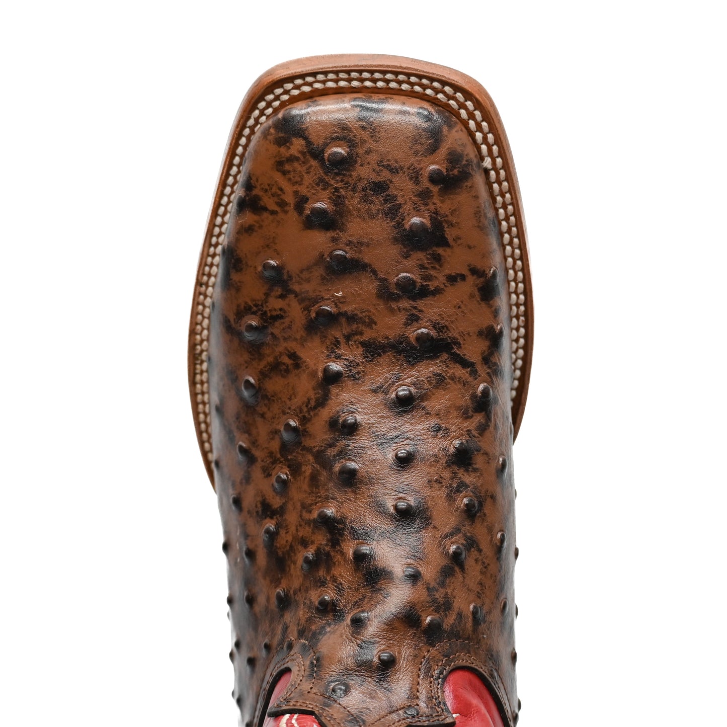 Vaquero Bronco Printed Brown Ostrich Boot