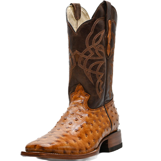 Vaquero Bronco Printed Butter & Brown Ostrich Boot