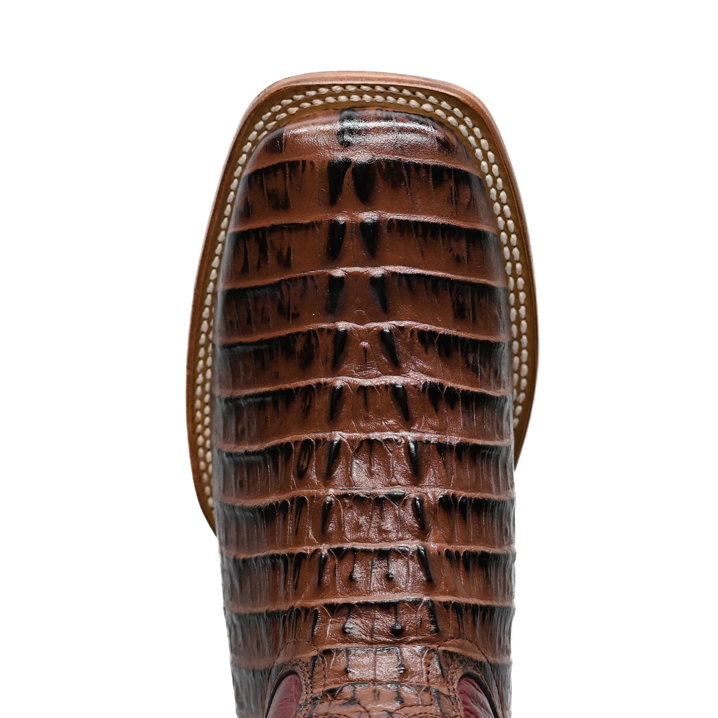 Vaquero Bronco Printed Wine Caiman Tail Boot