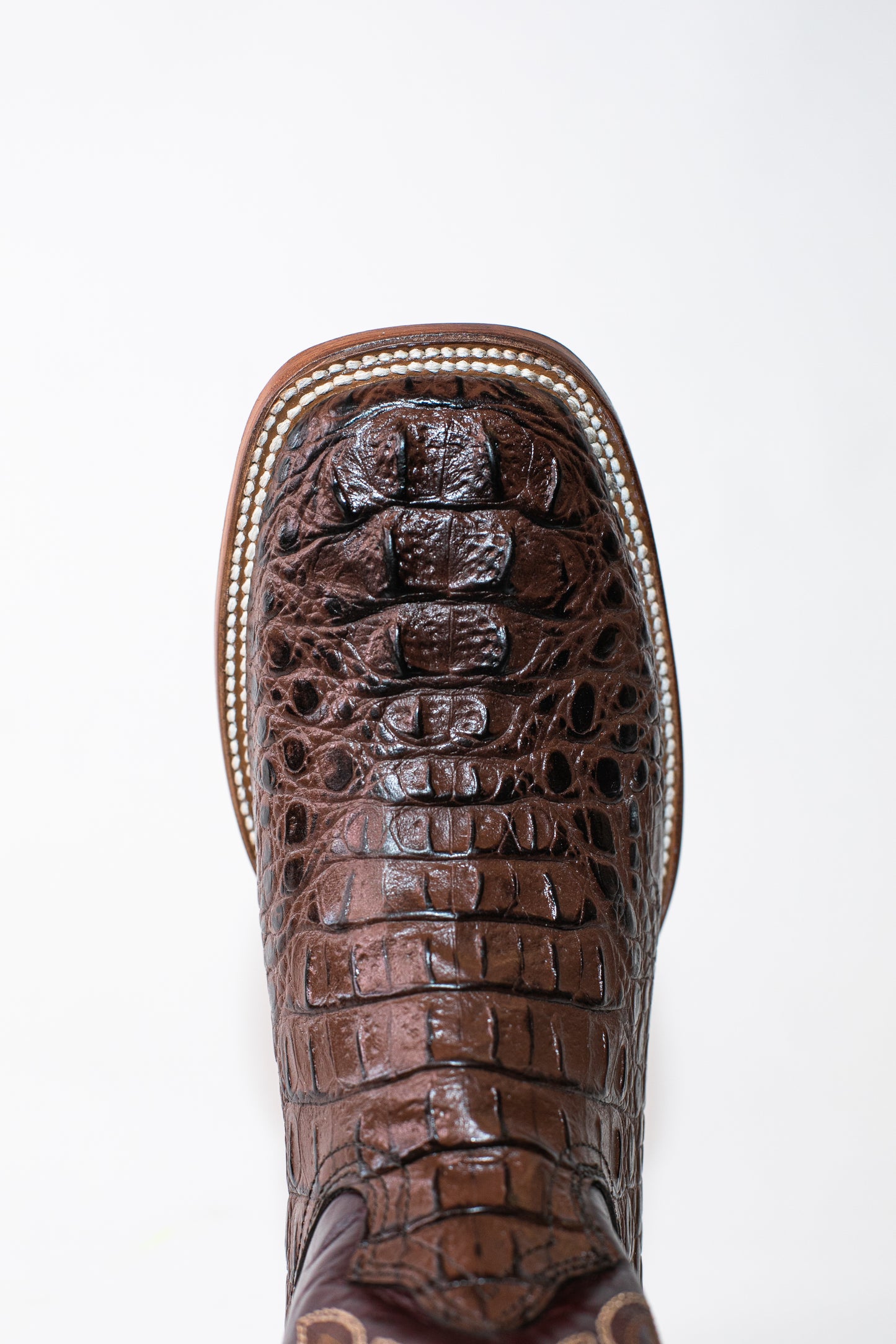 Vaquero Bronco Fuscus Caiman Printed Leather Brown Barza Wine