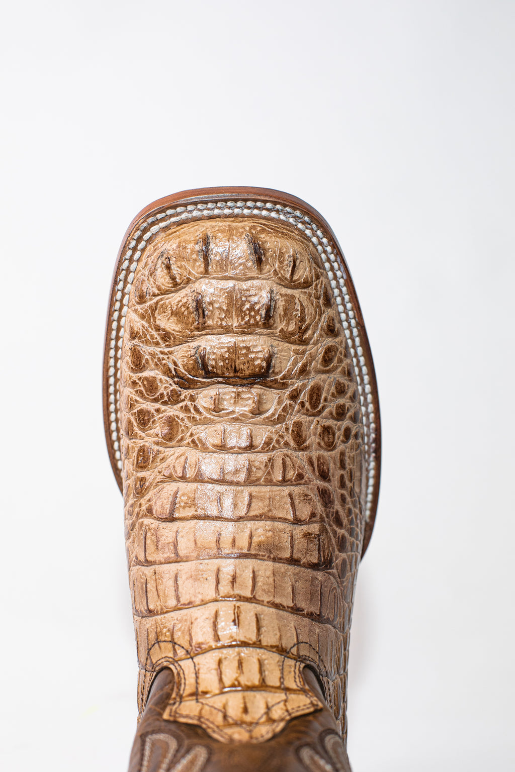 Vaquero Bronco Fuscus Caiman Printed Leather Orix Barza Tabaco