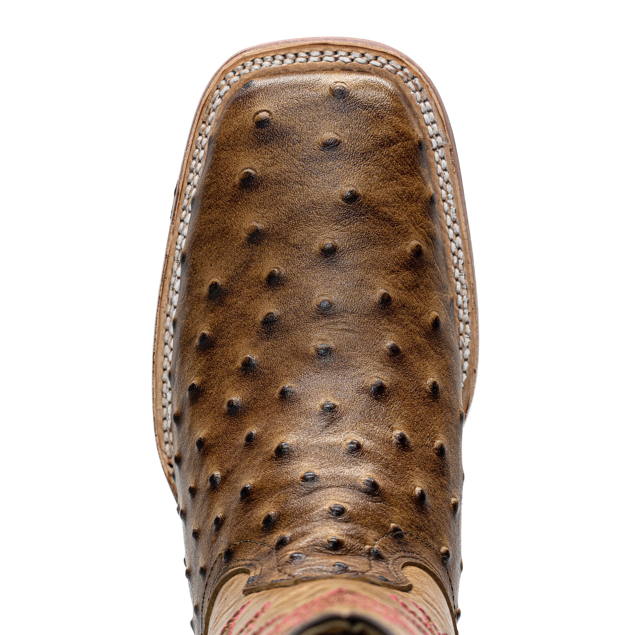 Vaquero Bronco Women Ostrich Orix Boot