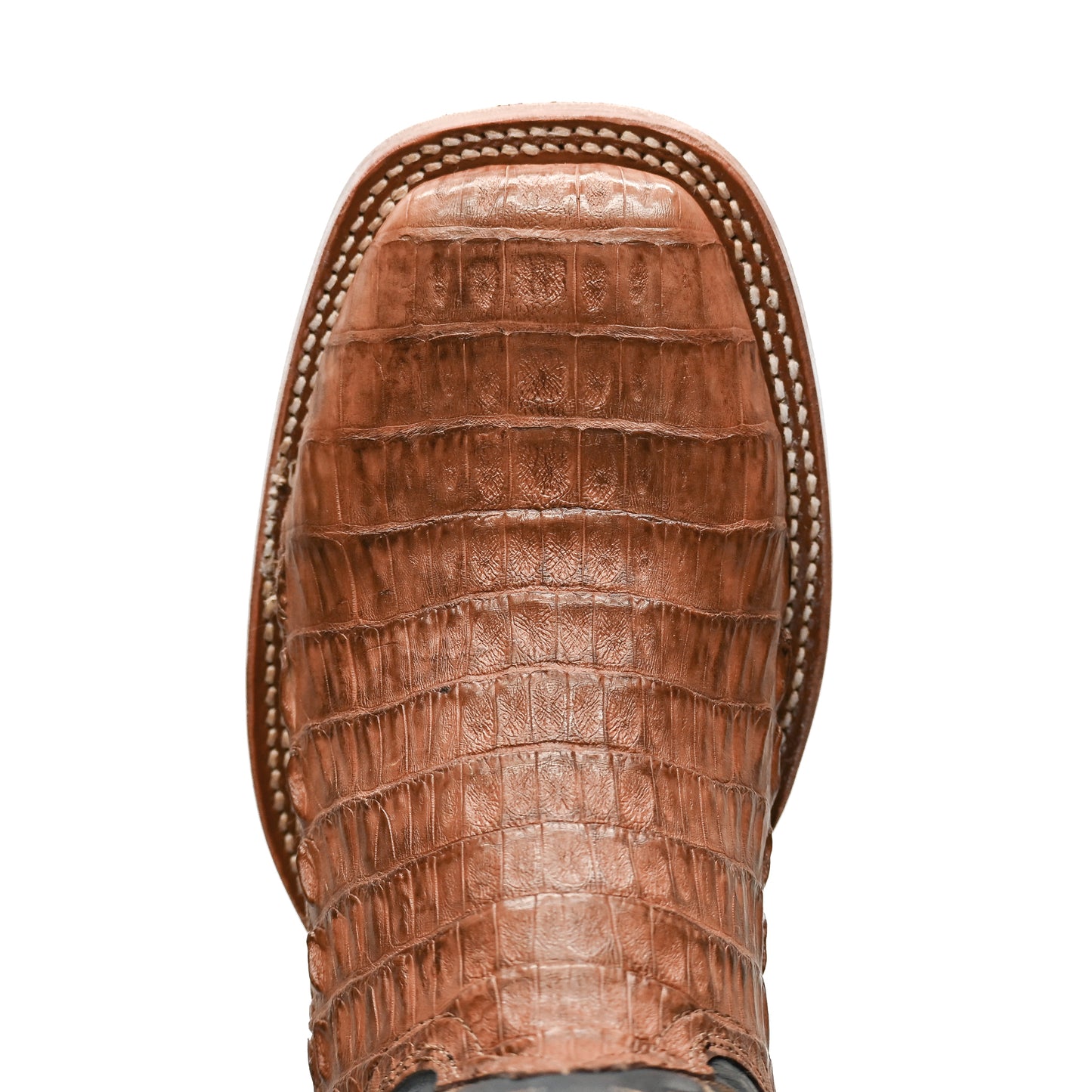 Vaquero Bronco Cappuccino Caiman Back Exotic Boot