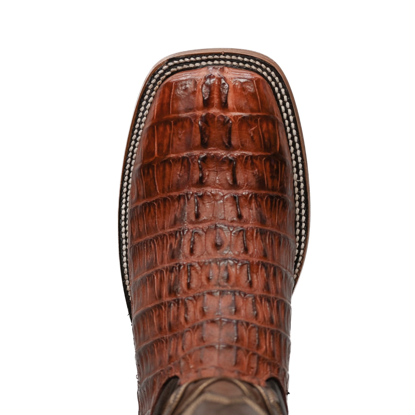 Vaquero Bronco Brandy Caiman Tail Exotic Boot