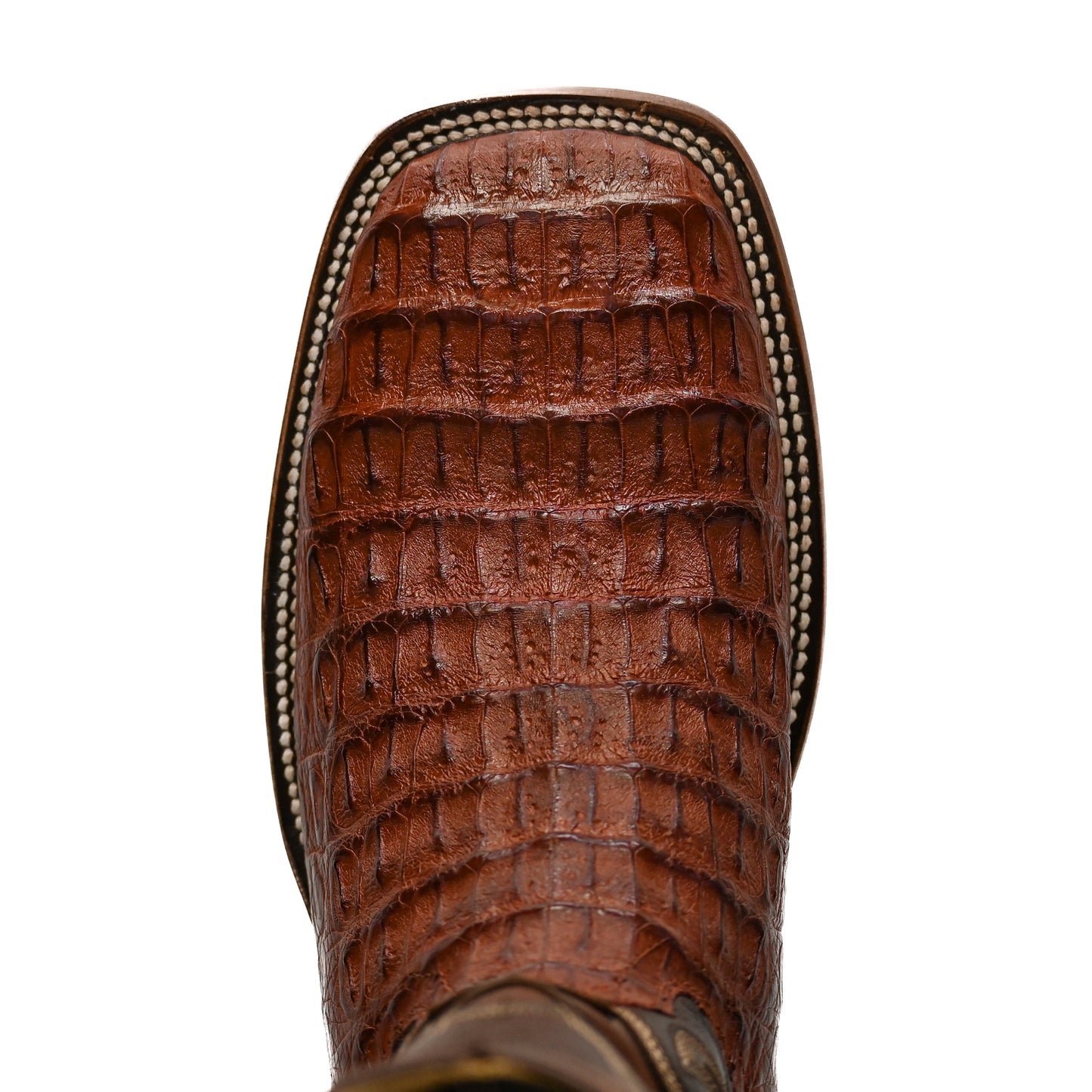 Vaquero Bronco Brandy Caiman Back Exotic Boot