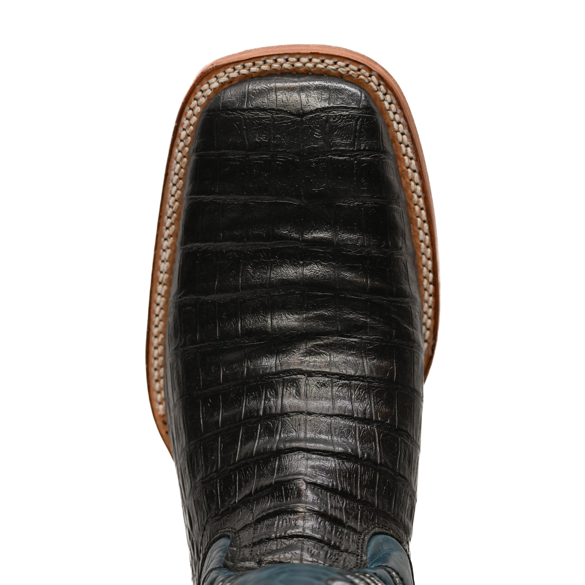 Vaquero Bronco Rodeo Bull Printed Black Back Barcelona Denim Boot
